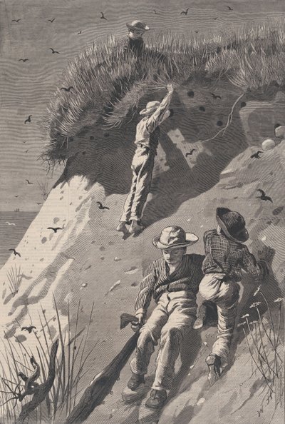 Raid sur une Colonie d