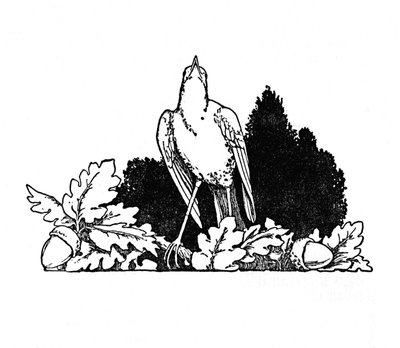 Parmi les branches habitait un rossignol, vers 1930 - William Heath Robinson