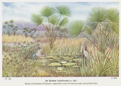 Un paysage éocène - W. J. Stokoe