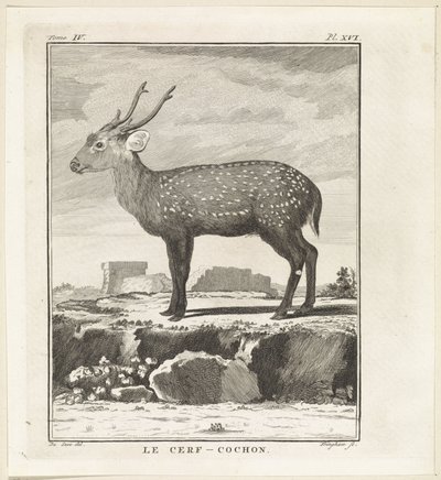Hert - W. Tringham