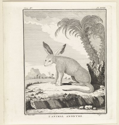 Animal inconnu - W. Tringham