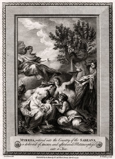 Myrrha, retirée dans le pays des Sabéens, accouche d