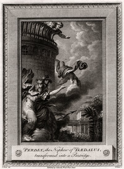 Perdix, le neveu de Dédale, transformé en perdrix, 1774 - W. Walker