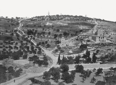 Mont des Oliviers, Jérusalem, Palestine, 1895 - W and S Ltd