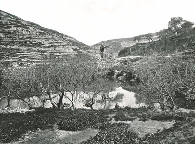La piscine de Siloé, Jérusalem, Palestine, 1895 - W and S Ltd