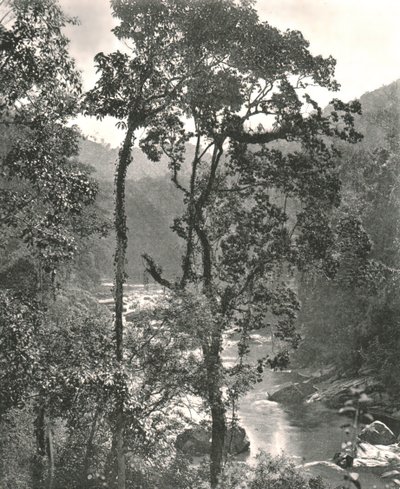 Vue de la rivière Kelani, Kurunegala, Ceylan, 1895 - W and S Ltd