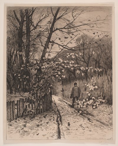 Novembre - Waldemar Bøhme