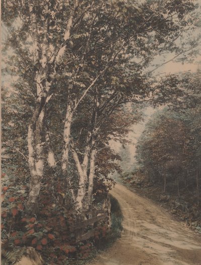 Westmore Drive - Wallace Nutting