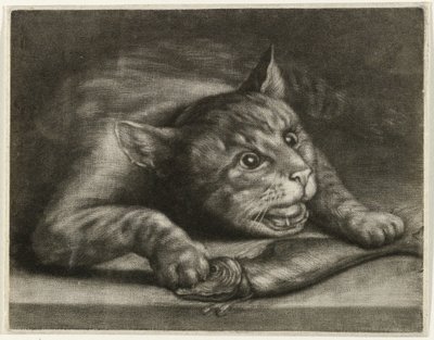 Chat avec un poisson - Wallerant Vaillant