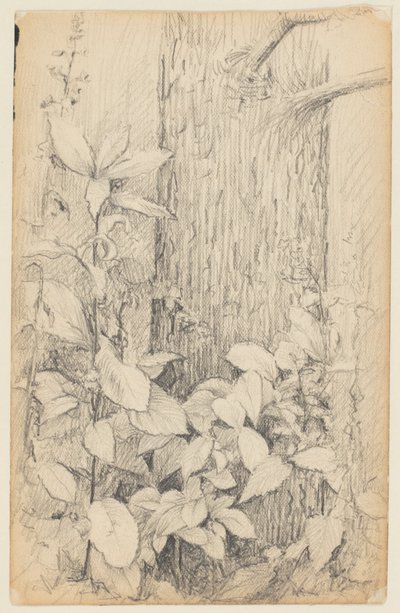 Étude de Sous-bois - Walter Clark