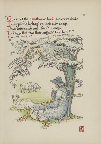 Fleurs du jardin de Shakespeare - Walter Crane