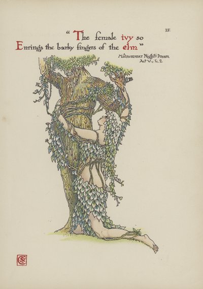 Fleurs du jardin de Shakespeare - Walter Crane