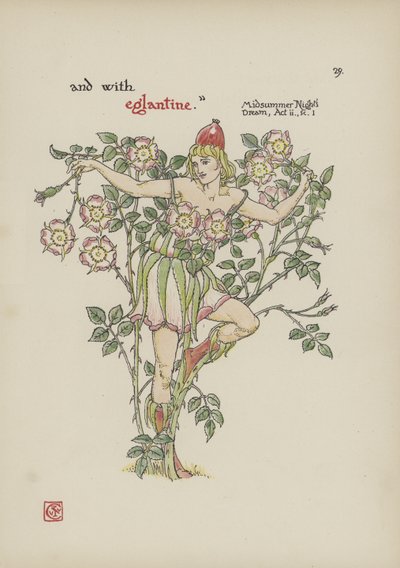 Fleurs du jardin de Shakespeare - Walter Crane