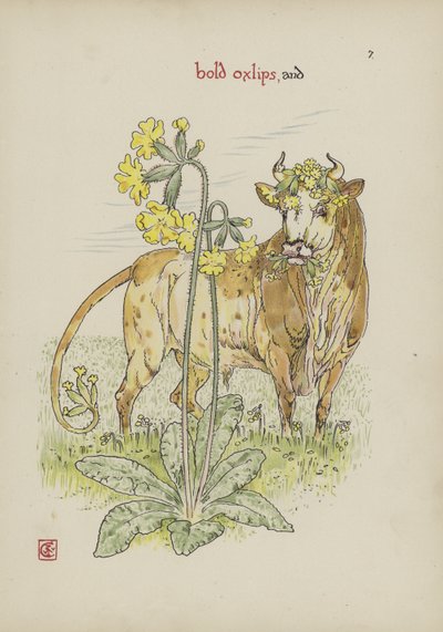 Fleurs du jardin de Shakespeare - Walter Crane