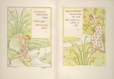 Narcisse et l
