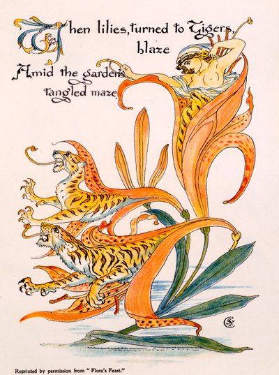 Lys tigrés, illustration de « Flora