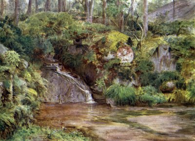 Un jardin de roches à Nikko avec image de Kwannon - Walter Frederick Roofe Tyndale