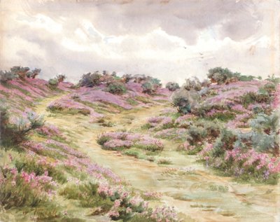 Bruyère sur Setley Plain - Walter Frederick Roofe Tyndale