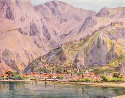 Cattaro - Walter Frederick Roofe Tyndale