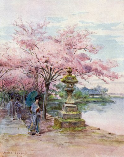 Fleurs de cerisier et lanterne en pierre, parc Ueno - Walter Frederick Roofe Tyndale