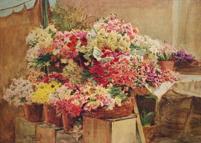 Étal de fleurs au marché de Menton, vers 1910, 1912 - Walter Frederick Roofe Tyndale
