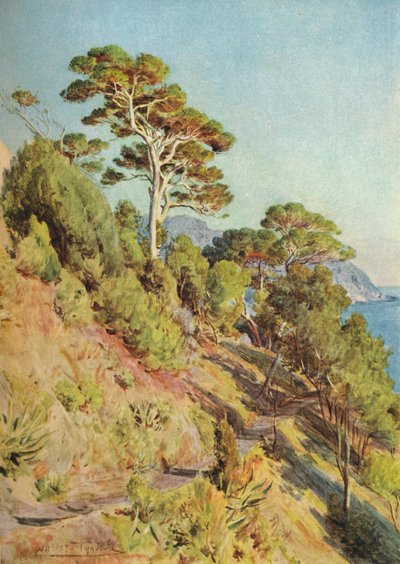 Dans la Villa Piuma, Sestri Levante - Walter Frederick Roofe Tyndale
