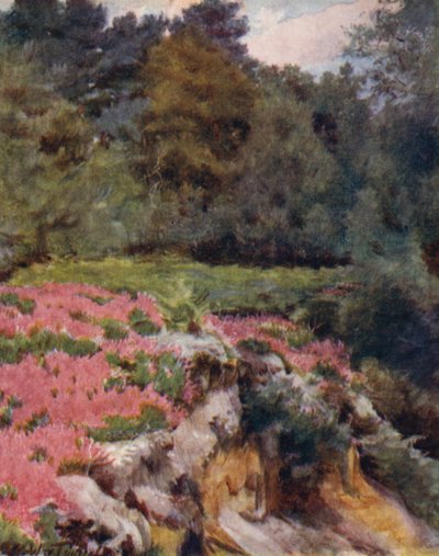 La Nouvelle Forêt : Tête de carrière de gravier à Royden - Walter Frederick Roofe Tyndale