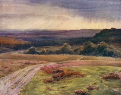 La Nouvelle Forêt : Promenade de Boldrewood, Puck Pitts, depuis la route de Fritham - Walter Frederick Roofe Tyndale