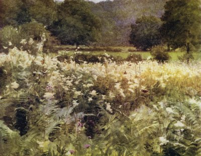 La Nouvelle Forêt : Reine des prés près de Royden - Walter Frederick Roofe Tyndale