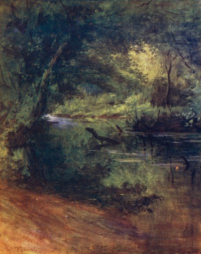 La Nouvelle Forêt : Northgate, près de Culverley, dans le Lodge Walk - Walter Frederick Roofe Tyndale