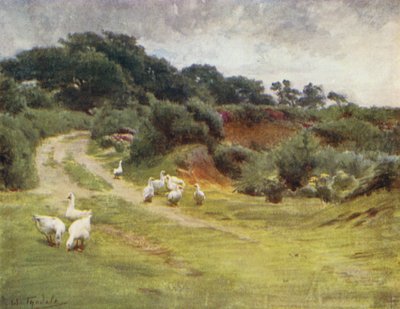 La Nouvelle Forêt : Royden Common, près de Brokenhurst - Walter Frederick Roofe Tyndale