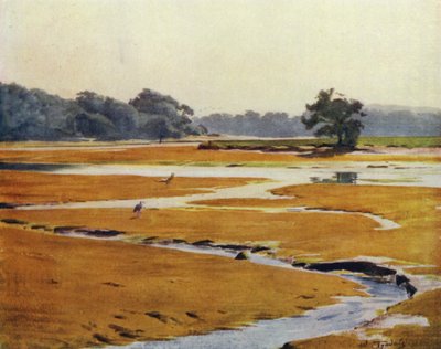 La Nouvelle Forêt : La rivière Beaulieu - Walter Frederick Roofe Tyndale