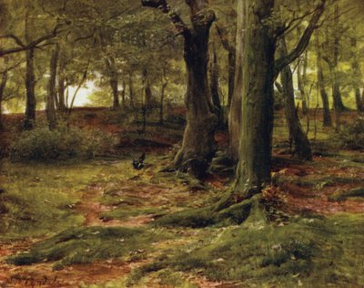 La Nouvelle Forêt : Les Bois de la Colline, Lyndhurst - Walter Frederick Roofe Tyndale