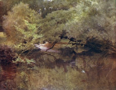 La Nouvelle Forêt : La rivière Lymington à Royden, près de Boldre - Walter Frederick Roofe Tyndale