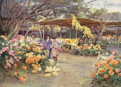 Observation des chrysanthèmes, Mukojima, Tokyo - Walter Frederick Roofe Tyndale
