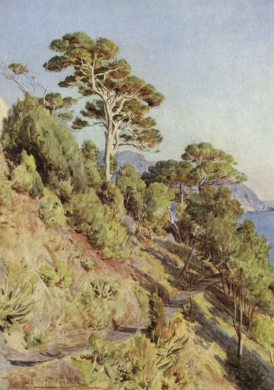 Villa Puma, Sestri Levante - Walter Frederick Roofe Tyndale