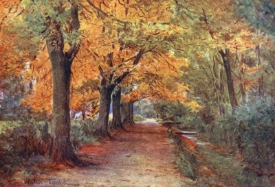 Wessex : Bockhampton Bank, près de Dorchester - Walter Frederick Roofe Tyndale