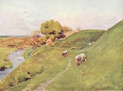 Wessex: Sur les vieux murs de Wareham - Walter Frederick Roofe Tyndale