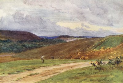 Wessex : Les parcours de golf de Broadstone, près de Poole - Walter Frederick Roofe Tyndale
