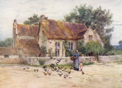 Wessex: Bois près de Mere, Wilts - Walter Frederick Roofe Tyndale