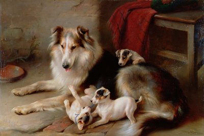 Un Colley avec des Chiots Fox Terrier, 1913 - Walter Hunt