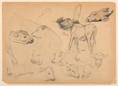Études de bovins, têtes de moutons et un cochon - Walter Shirlaw