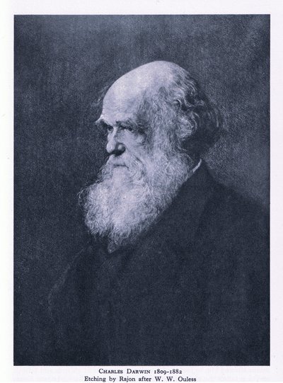 Gravure de Charles Darwin, Nature en Grande-Bretagne publié par Collins - Walter William (after) Ouless