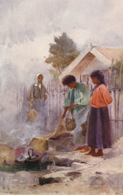 Nouvelle-Zélande : Cuisiner dans une source chaude - Walter Wright