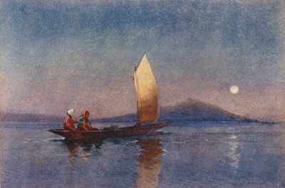 Nouvelle-Zélande : Soirée sur le lac Roto-rua - Walter Wright