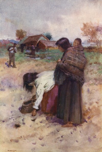 Nouvelle-Zélande : Plantation de pommes de terre - Walter Wright