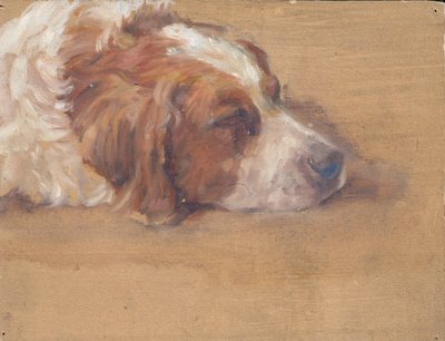 Tête de chien (étude) - Walther Gamerith