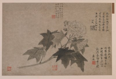 Hibiscus, 1347 - Wang Yuan