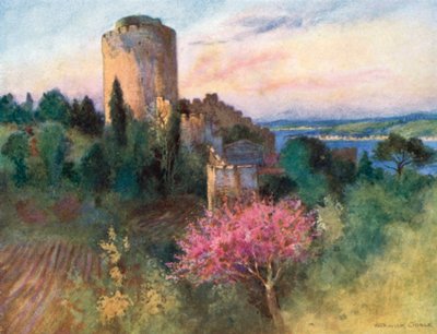  - Warwick (after) Goble