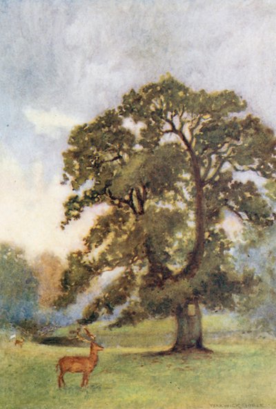  - Warwick (after) Goble